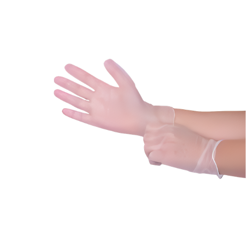 Vinyl Gloves